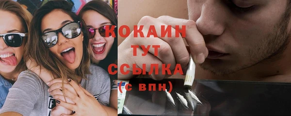 сатива Надым