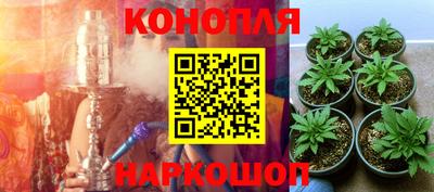 индика Рыбинск