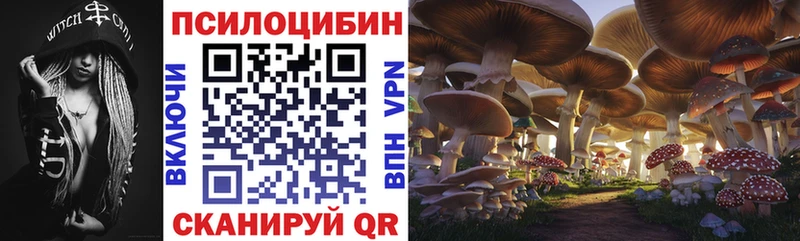 Псилоцибиновые грибы Psilocybe Ярославль