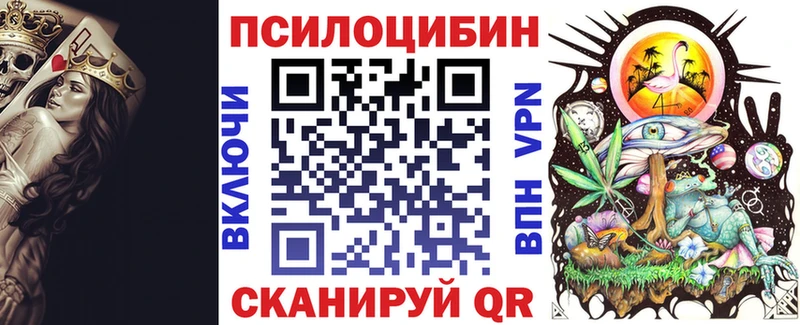 Псилоцибиновые грибы Psilocybe  даркнет сайт  Ярославль 