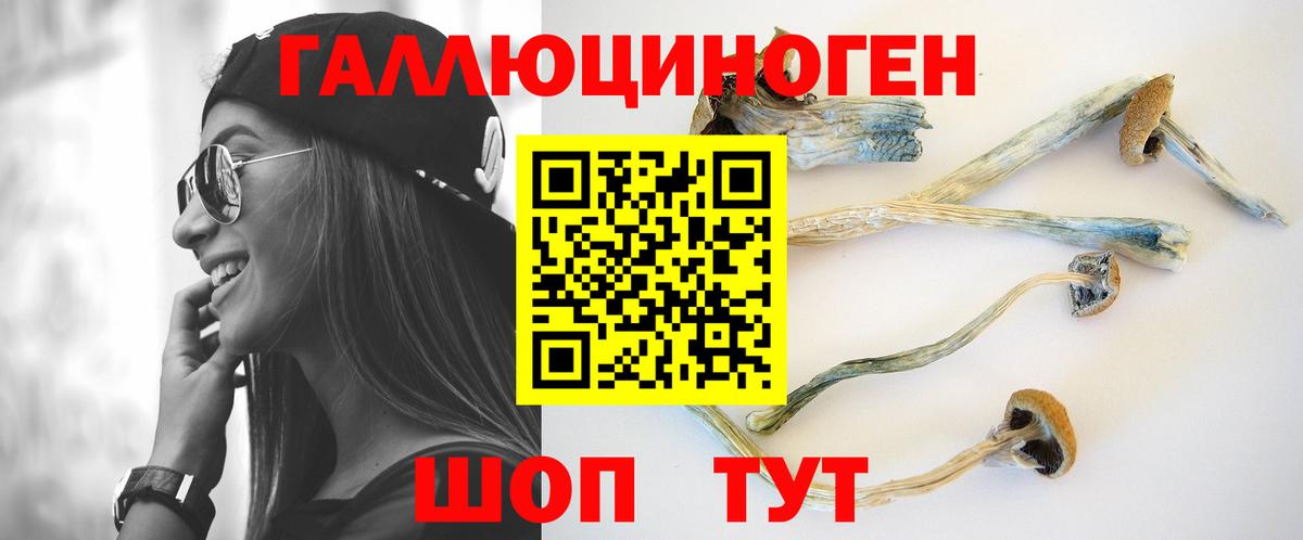 Галлюциногенные грибы MAGIC MUSHROOMS  где купить наркоту  Ярославль  Вход с VPN 