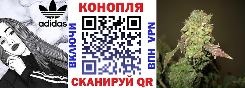 Канабис Ganja Ярославль